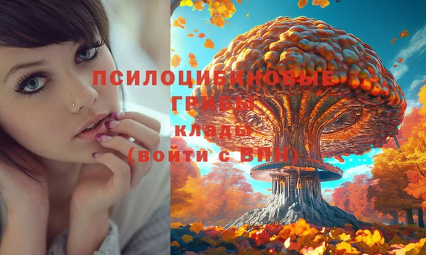 гашиш Ростов