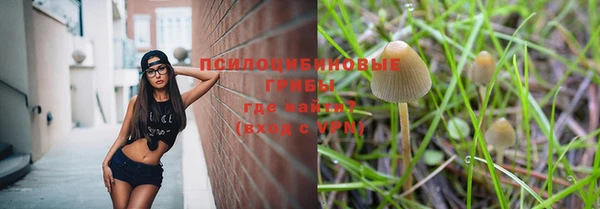 мяу мяу мука Россошь