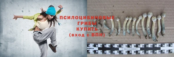 мет Рославль