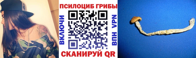 наркота  гидра рабочий сайт  Галлюциногенные грибы мухоморы  Бабаево 